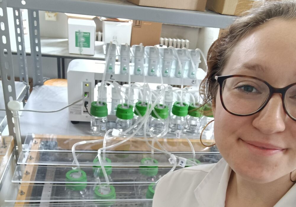 italy vb aspect ratio 900 630