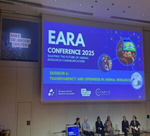 bsd report angela manjoh[3] foto 1