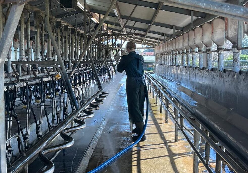 img 20250927 wa0022 aspect ratio 900 630